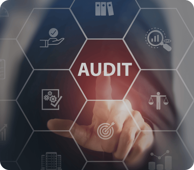 Audit